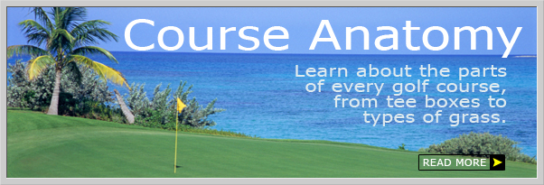 Golf Course Anatomy